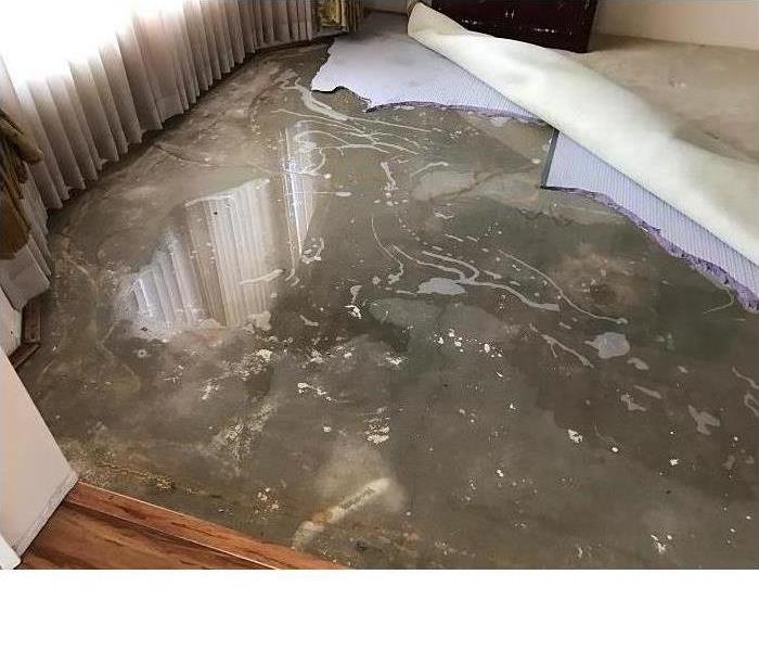 Standing Water in a Home